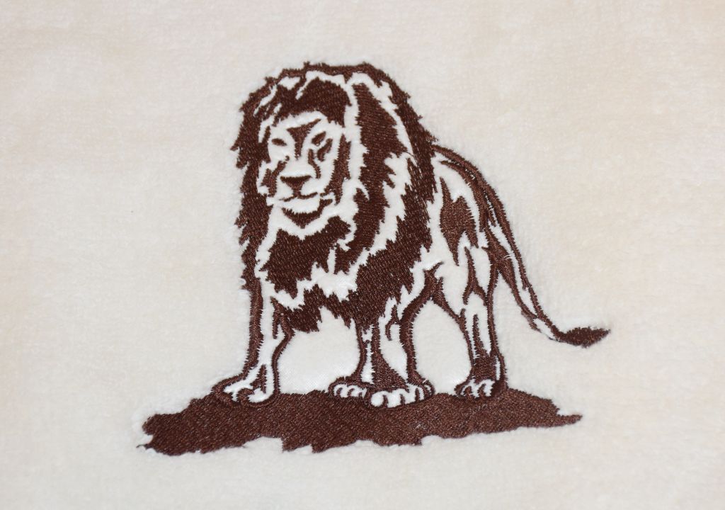 Lion ariane.jpg (97 KB)